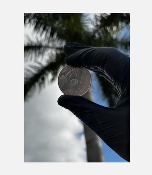 1 oz Sterling Silver 0.999 Donald Trump Presidential Battle Commemorative Coin - White House Reverse-