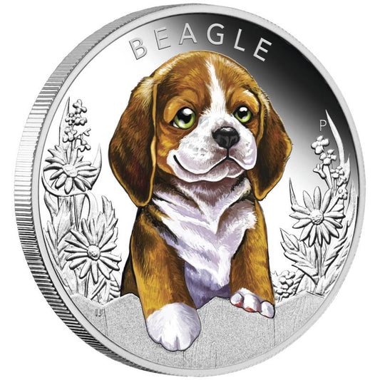 2018 Puppy-Beagle Color Commemorative Coin