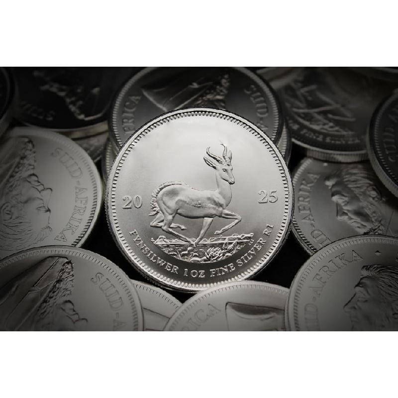 2025 South Africa Silver Kruger Commemorative Coin