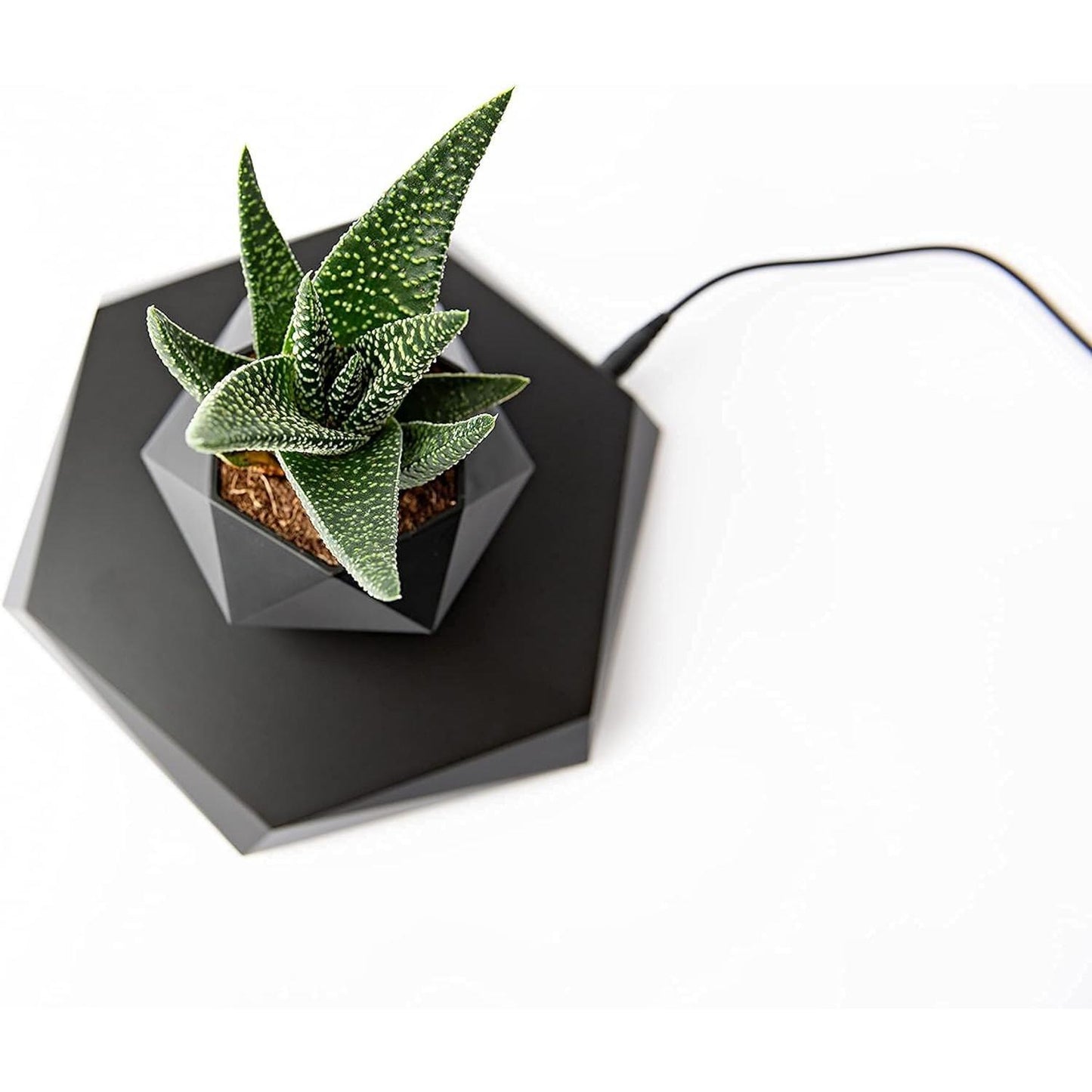 Levitating Plant Pot - Floating Plant Pot for Small Plants. Levitating Decor for Home & Office Magnetic Floating Levitating Display (Black)